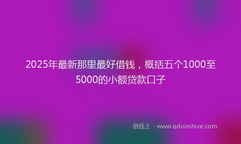 2025年最新那里最好借钱，概括五个1000至5000的小额贷款口子