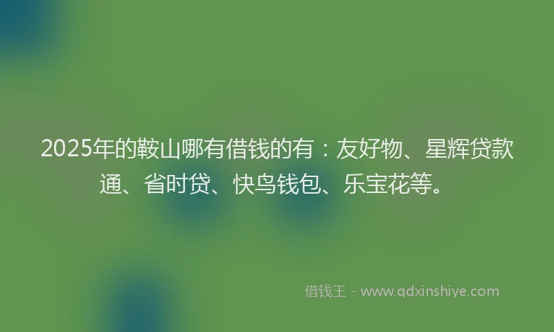2025年的鞍山哪有借钱的有：友好物、星辉贷款通、省时贷、快鸟钱包、乐宝花等。