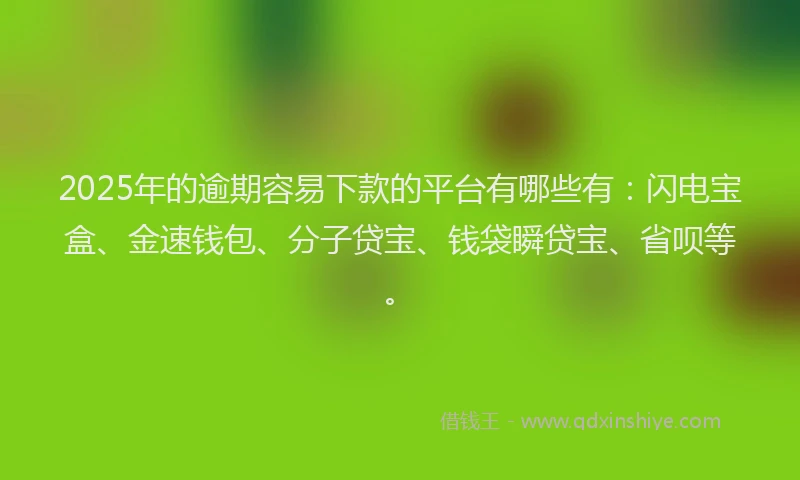 2025年的逾期容易下款的平台有哪些有：闪电宝盒、金速钱包、分子贷宝、钱袋瞬贷宝、省呗等。