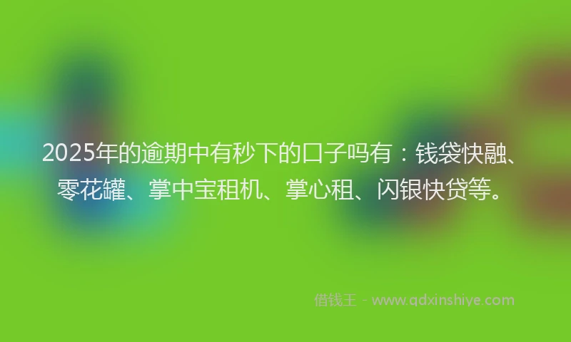 2025年的逾期中有秒下的口子吗有：钱袋快融、零花罐、掌中宝租机、掌心租、闪银快贷等。
