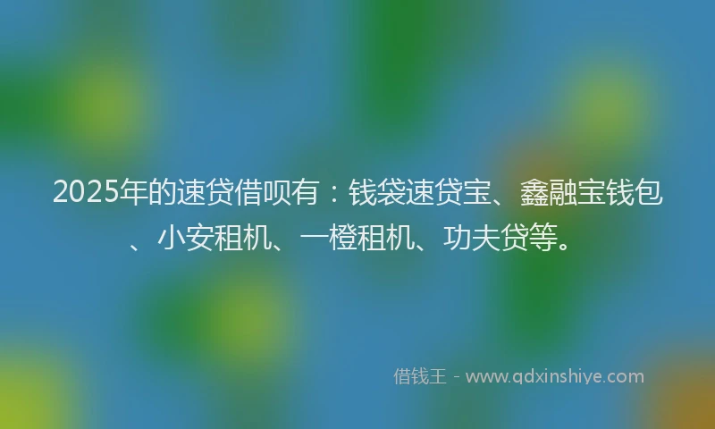 2025年的速贷借呗有：钱袋速贷宝、鑫融宝钱包、小安租机、一橙租机、功夫贷等。