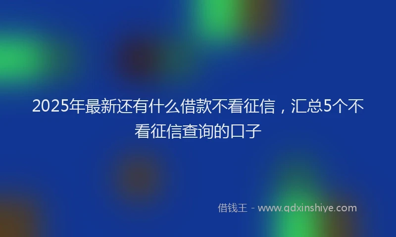 2025年最新还有什么借款不看征信，汇总5个不看征信查询的口子