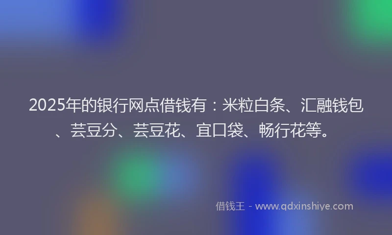 2025年的银行网点借钱有：米粒白条、汇融钱包、芸豆分、芸豆花、宜口袋、畅行花等。