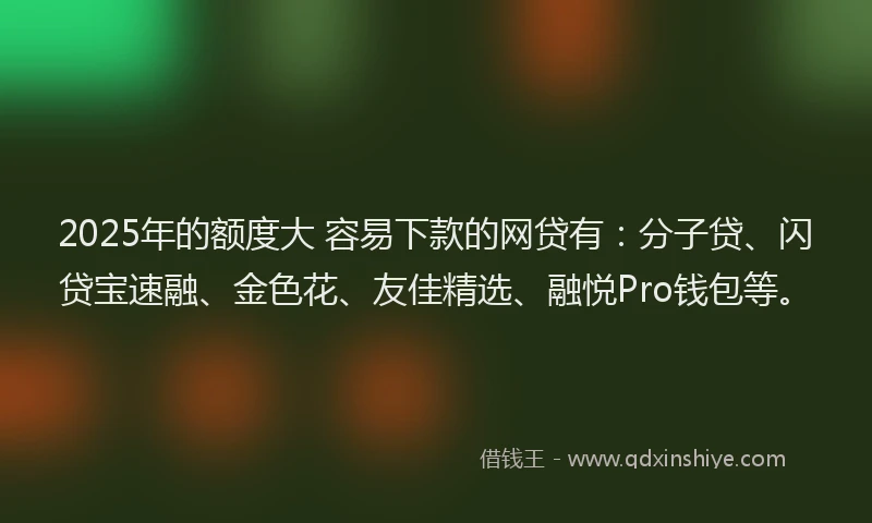2025年的额度大 容易下款的网贷有：分子贷、闪贷宝速融、金色花、友佳精选、融悦Pro钱包等。