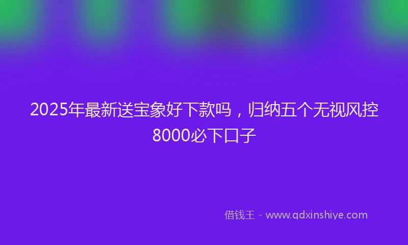 2025年最新送宝象好下款吗，归纳五个无视风控8000必下口子