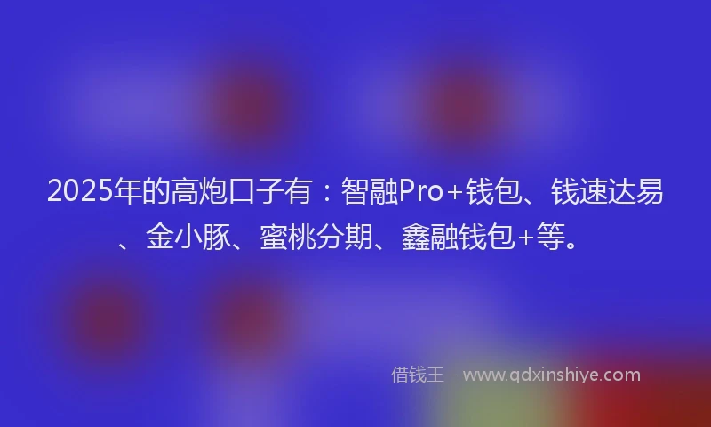 2025年的高炮口子有：智融Pro+钱包、钱速达易、金小豚、蜜桃分期、鑫融钱包+等。