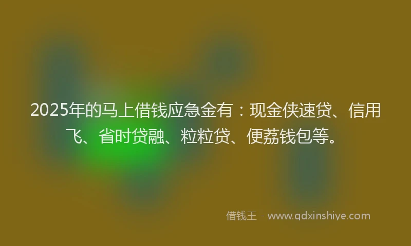 2025年的马上借钱应急金有：现金侠速贷、信用飞、省时贷融、粒粒贷、便荔钱包等。