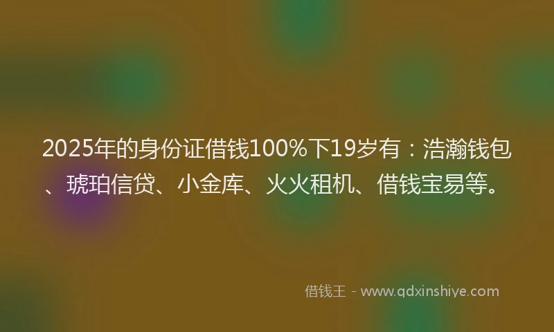 2025年的身份证借钱100%下19岁有：浩瀚钱包、琥珀信贷、小金库、火火租机、借钱宝易等。
