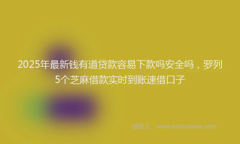 2025年最新钱有道贷款容易下款吗安全吗，罗列5个芝麻借款实时到账速借口子