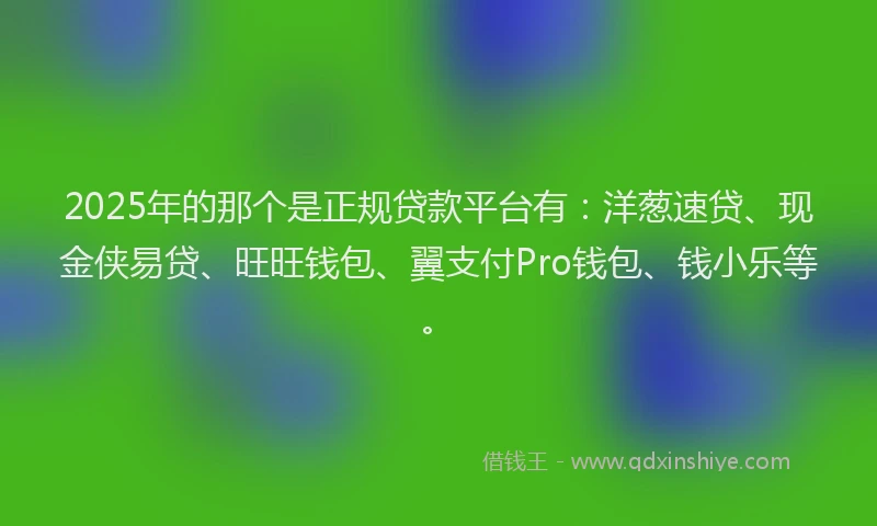 2025年的那个是正规贷款平台有：洋葱速贷、现金侠易贷、旺旺钱包、翼支付Pro钱包、钱小乐等。