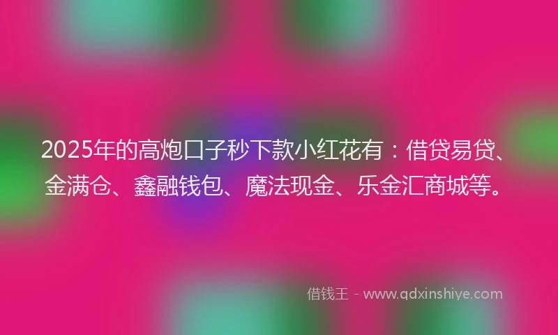 2025年的高炮口子秒下款小红花有：借贷易贷、金满仓、鑫融钱包、魔法现金、乐金汇商城等。