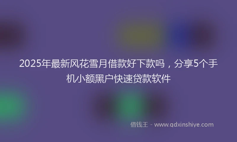 2025年最新风花雪月借款好下款吗，分享5个手机小额黑户快速贷款软件