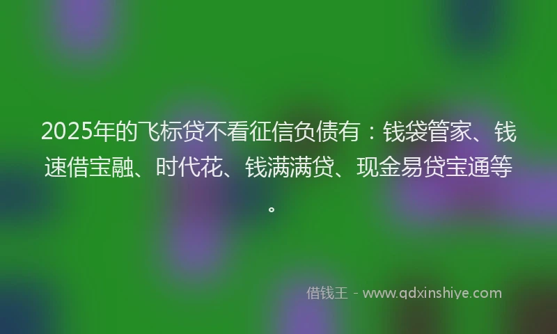 2025年的飞标贷不看征信负债有：钱袋管家、钱速借宝融、时代花、钱满满贷、现金易贷宝通等。
