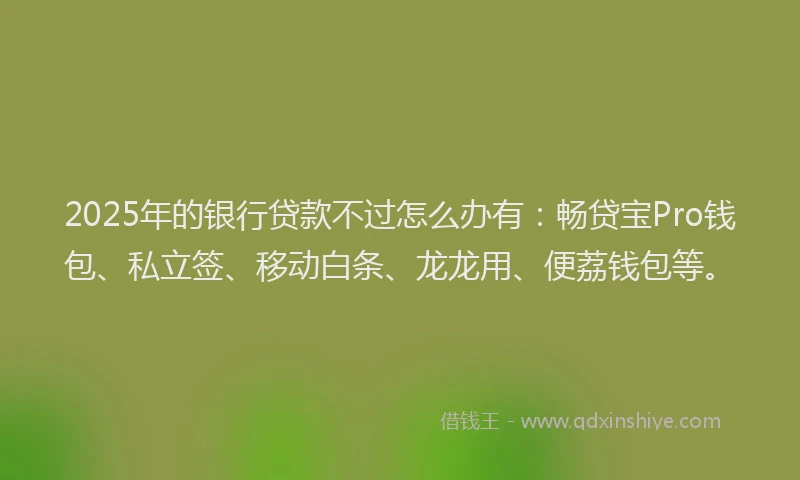 2025年的银行贷款不过怎么办有：畅贷宝Pro钱包、私立签、移动白条、龙龙用、便荔钱包等。