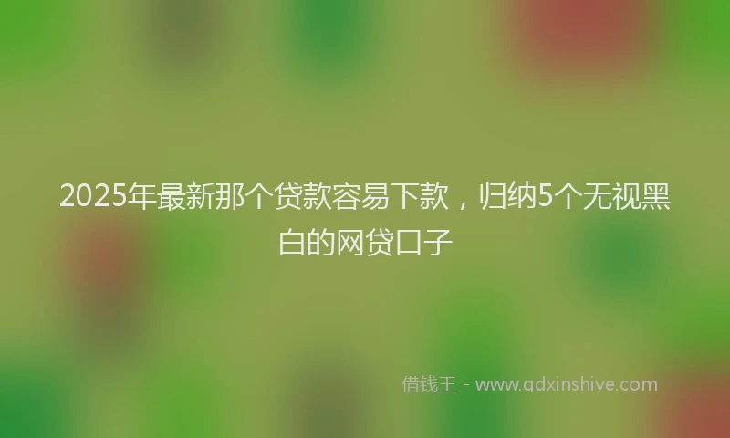 2025年最新那个贷款容易下款，归纳5个无视黑白的网贷口子
