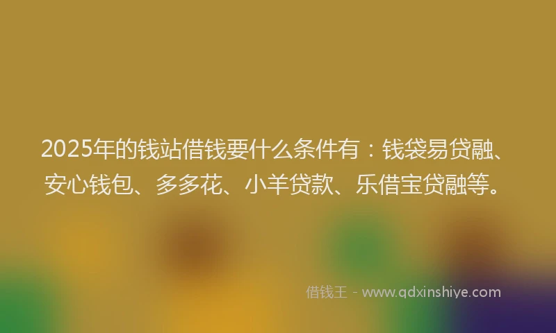 2025年的钱站借钱要什么条件有：钱袋易贷融、安心钱包、多多花、小羊贷款、乐借宝贷融等。