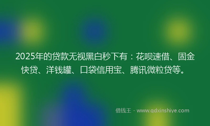 2025年的贷款无视黑白秒下有：花呗速借、固金快贷、洋钱罐、口袋信用宝、腾讯微粒贷等。