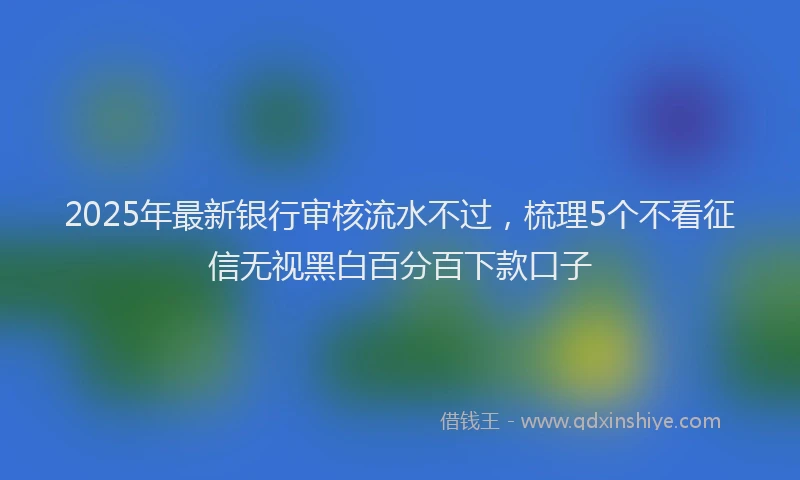 2025年最新银行审核流水不过，梳理5个不看征信无视黑白百分百下款口子