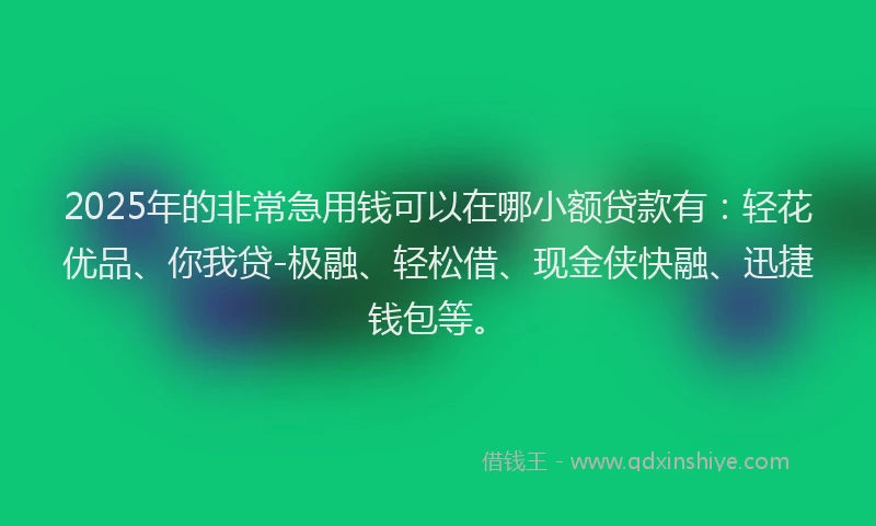 2025年的非常急用钱可以在哪小额贷款有：轻花优品、你我贷-极融、轻松借、现金侠快融、迅捷钱包等。