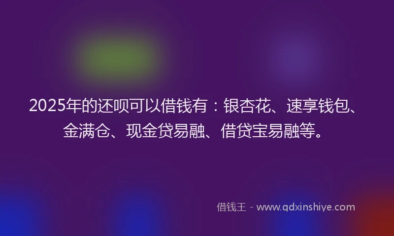 2025年的还呗可以借钱有：银杏花、速享钱包、金满仓、现金贷易融、借贷宝易融等。
