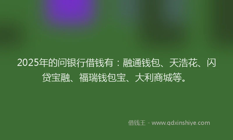 2025年的问银行借钱有：融通钱包、天浩花、闪贷宝融、福瑞钱包宝、大利商城等。