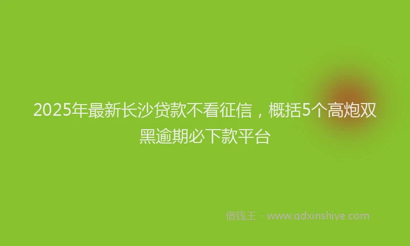 2025年最新长沙贷款不看征信，概括5个高炮双黑逾期必下款平台