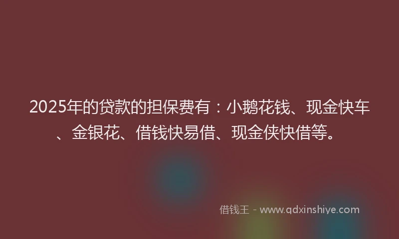 2025年的贷款的担保费有：小鹅花钱、现金快车、金银花、借钱快易借、现金侠快借等。