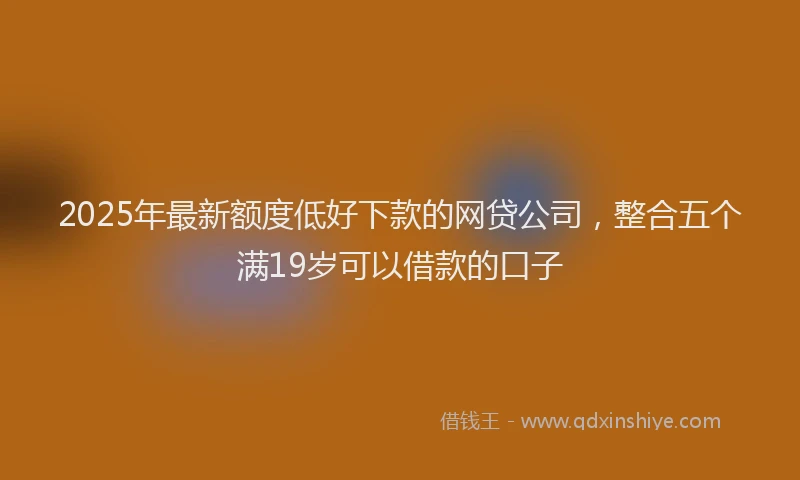 2025年最新额度低好下款的网贷公司，整合五个满19岁可以借款的口子