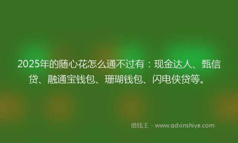 2025年的随心花怎么通不过有：现金达人、甄信贷、融通宝钱包、珊瑚钱包、闪电侠贷等。