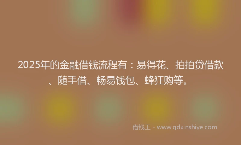 2025年的金融借钱流程有：易得花、拍拍贷借款、随手借、畅易钱包、蜂狂购等。