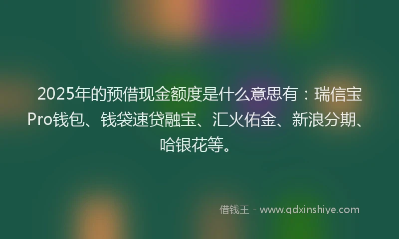 2025年的预借现金额度是什么意思有：瑞信宝Pro钱包、钱袋速贷融宝、汇火佑金、新浪分期、哈银花等。