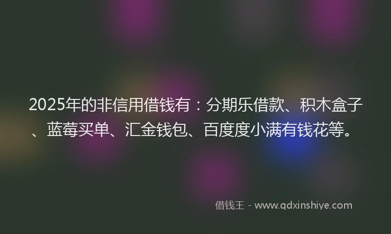 2025年的非信用借钱有：分期乐借款、积木盒子、蓝莓买单、汇金钱包、百度度小满有钱花等。
