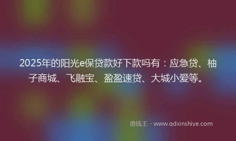 2025年的阳光e保贷款好下款吗有：应急贷、柚子商城、飞融宝、盈盈速贷、大城小爱等。