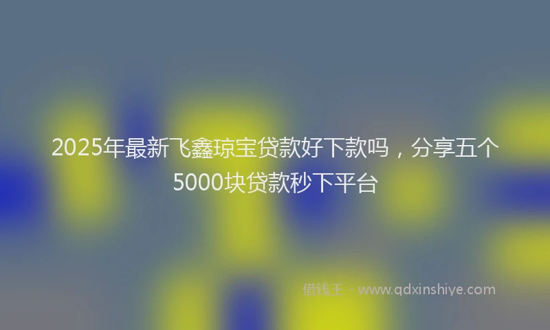 2025年最新飞鑫琼宝贷款好下款吗，分享五个5000块贷款秒下平台