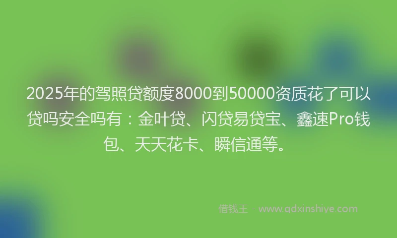 2025年的驾照贷额度8000到50000资质花了可以贷吗安全吗有：金叶贷、闪贷易贷宝、鑫速Pro钱包、天天花卡、瞬信通等。