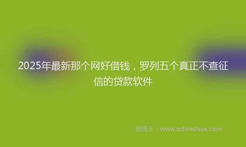 2025年最新那个网好借钱，罗列五个真正不查征信的贷款软件