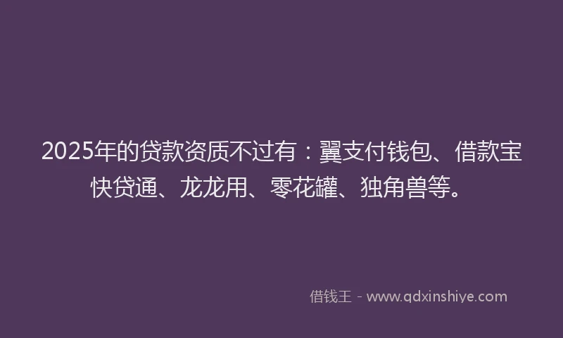 2025年的贷款资质不过有：翼支付钱包、借款宝快贷通、龙龙用、零花罐、独角兽等。