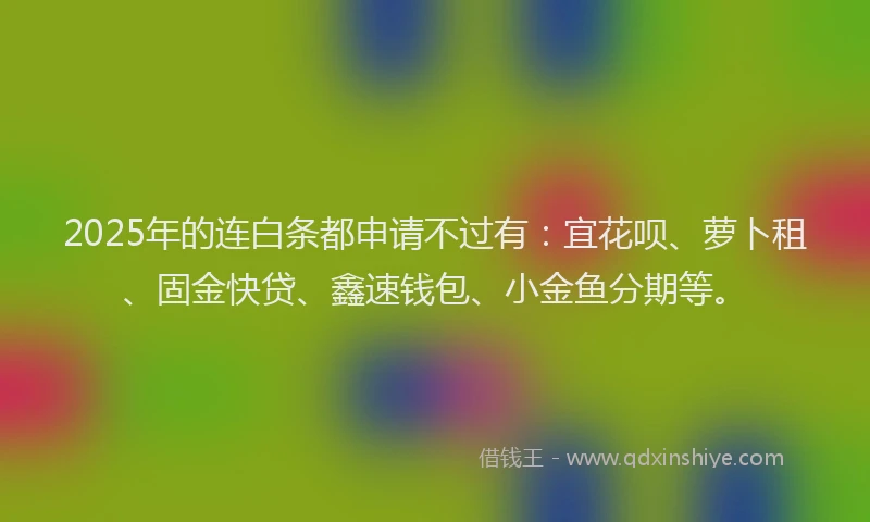 2025年的连白条都申请不过有：宜花呗、萝卜租、固金快贷、鑫速钱包、小金鱼分期等。