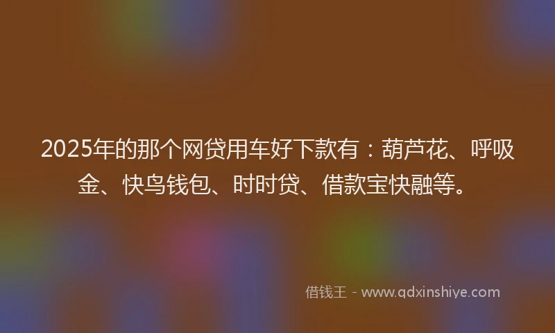 2025年的那个网贷用车好下款有：葫芦花、呼吸金、快鸟钱包、时时贷、借款宝快融等。