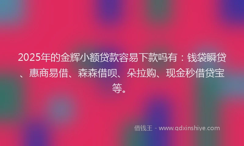 2025年的金辉小额贷款容易下款吗有：钱袋瞬贷、惠商易借、森森借呗、朵拉购、现金秒借贷宝等。