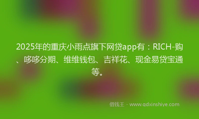 2025年的重庆小雨点旗下网贷app有：RICH-购、哆哆分期、维维钱包、吉祥花、现金易贷宝通等。