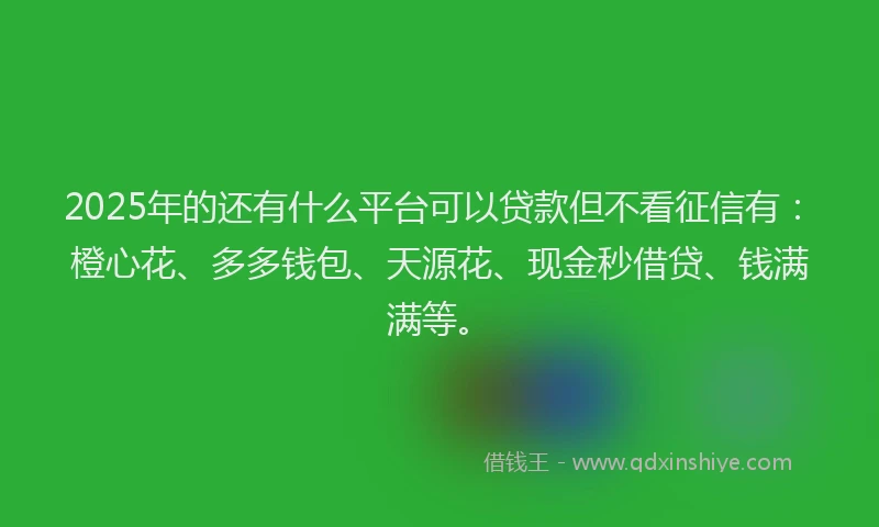 2025年的还有什么平台可以贷款但不看征信有：橙心花、多多钱包、天源花、现金秒借贷、钱满满等。