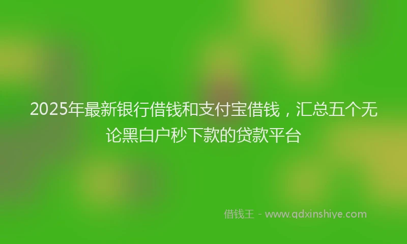 2025年最新银行借钱和支付宝借钱，汇总五个无论黑白户秒下款的贷款平台