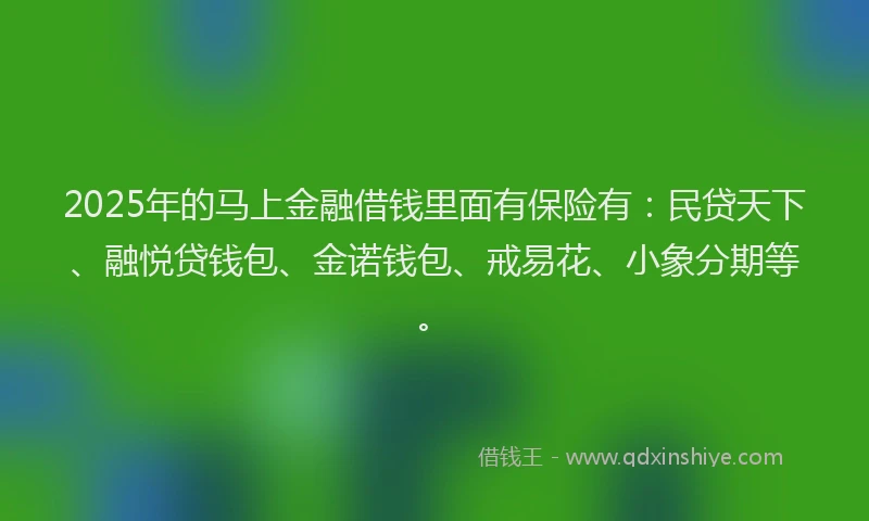 2025年的马上金融借钱里面有保险有：民贷天下、融悦贷钱包、金诺钱包、戒易花、小象分期等。