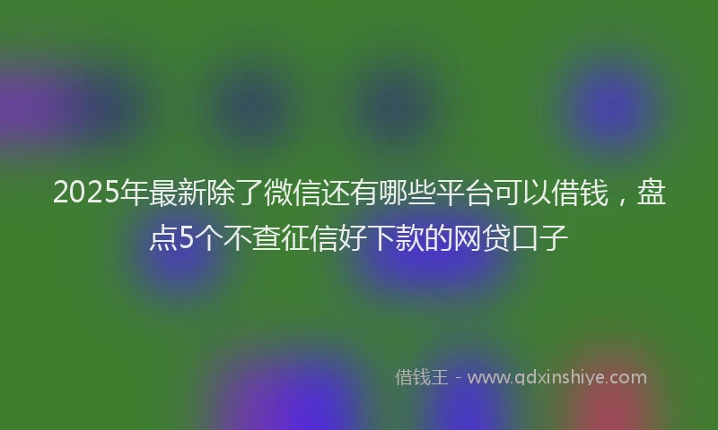 2025年最新除了微信还有哪些平台可以借钱，盘点5个不查征信好下款的网贷口子