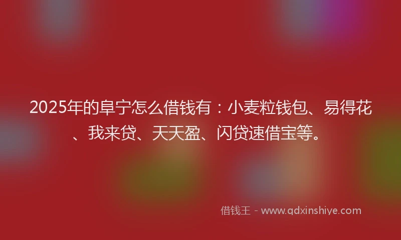 2025年的阜宁怎么借钱有:小麦粒钱包、易得花、我来贷、天天盈、闪贷速借宝等。