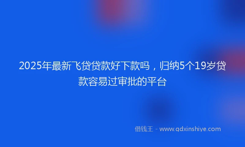 2025年最新飞贷贷款好下款吗，归纳5个19岁贷款容易过审批的平台