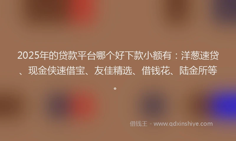 2025年的贷款平台哪个好下款小额有：洋葱速贷、现金侠速借宝、友佳精选、借钱花、陆金所等。