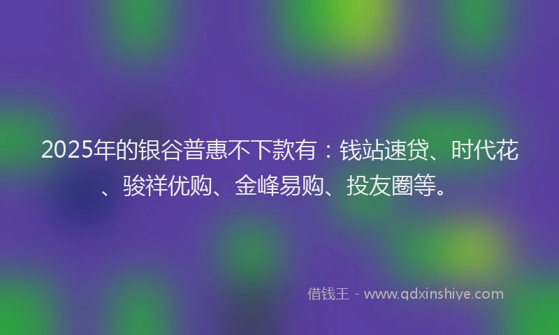 2025年的银谷普惠不下款有：钱站速贷、时代花、骏祥优购、金峰易购、投友圈等。