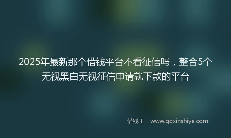 2025年最新那个借钱平台不看征信吗，整合5个无视黑白无视征信申请就下款的平台